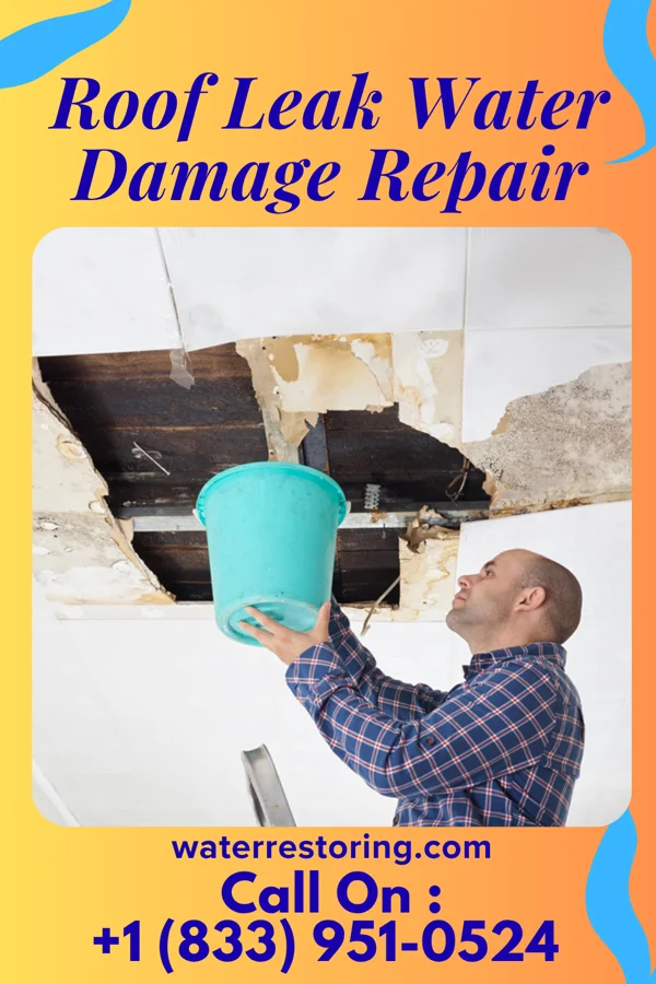 Roof Leak Water Damage Repair in Kensington, KS