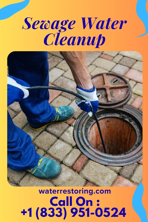 Sewage Water Cleanup in Kensington, KS